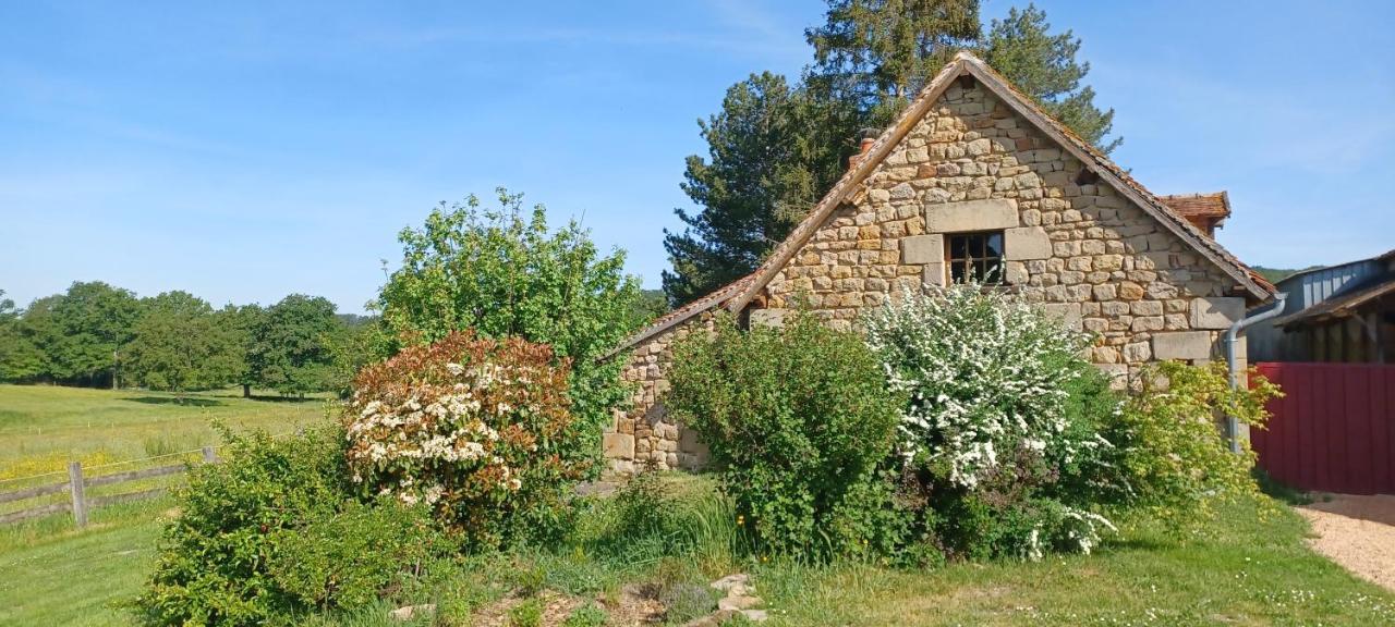 Villa Domaine De Reniere Buxières-les-Mines Exterior foto